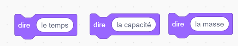 3 blocs d’apparence : dire le temps ; dire la capacité ; dire la masse.