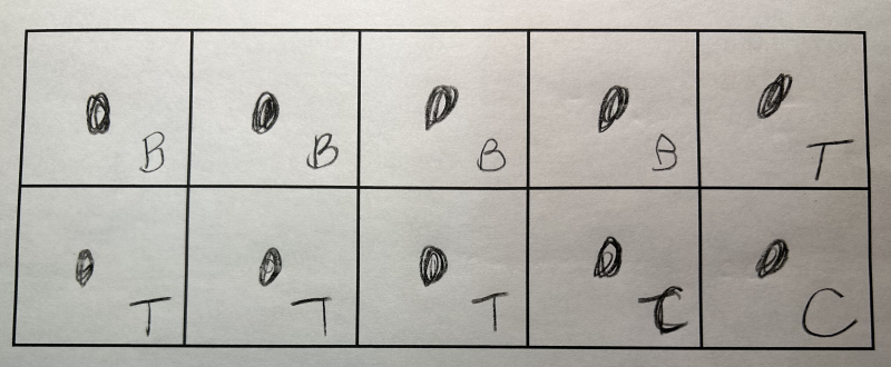 Cadre à dix cases, rempli avec des cercles noirs et des lettres. 4 « B », 4 « T », 2 « C ».