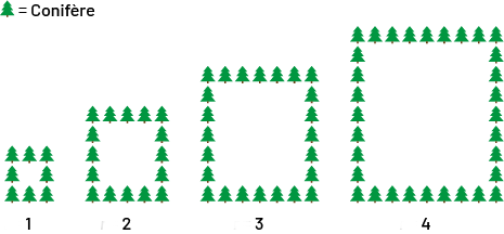 Séquence non numérique à motifs croissants. Rang un : 8 arbres formant un carré. Rang 2 : 15 arbres formant un carré. Rang 3 : 24 arbres formant un carré. Rang 4 : 33 arbres formant un carré.