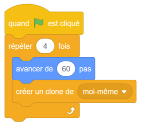 Blocs de codages attachés les uns aux autres. Bloc évènement : départ au drapeau vert. Bloc de contrôle : répéter 4 fois. Bloc de mouvement : avancer de 60 pas. Bloc de contrôle : créer un clone de moi-même. Répéter. 