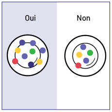 Case divisée en deux. Du côté du Oui, un contenant contient quatre jetons bleus, deux jetons jaunes, un jeton rouge, un jeton noir et un jeton vert. Du côté du Non, un contenant contient deux jetons bleus, un jeton jaune, un jeton rouge et un jeton vert.