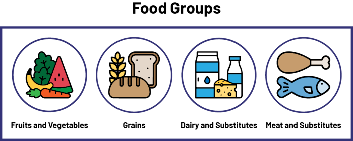 Venn Diagram B, titled Food Groups, created with illustrations representing four categories: Fruits and Vegetables, Grain, Dairy and substitutes and Meat and substitutes. 