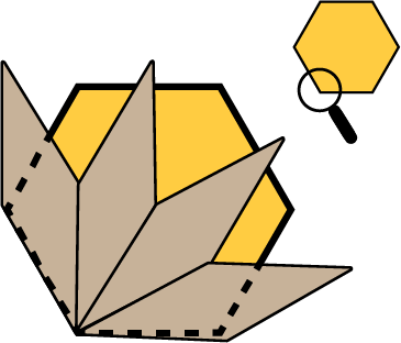 A hexagon, half of which is covered by four parallelograms. Next to this image is a magnifying glass that magnifies an angle of a smaller hexagon.